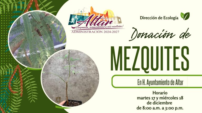 DONACIÓN DE MEZQUITES