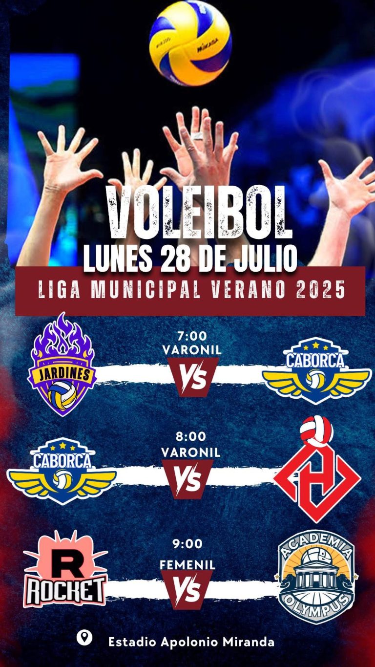 LIGA MUNICIPAL DE VOLEIBOL