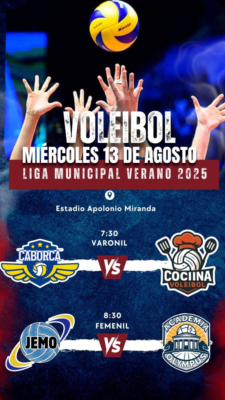 LIGA MUNICIPAL DE VOLEIBOL