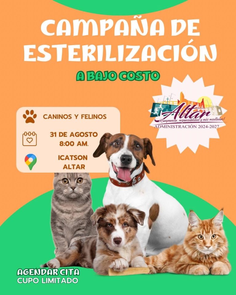 CAMPAÑA DE ESTERILIZACIÓN A BAJO COSTO