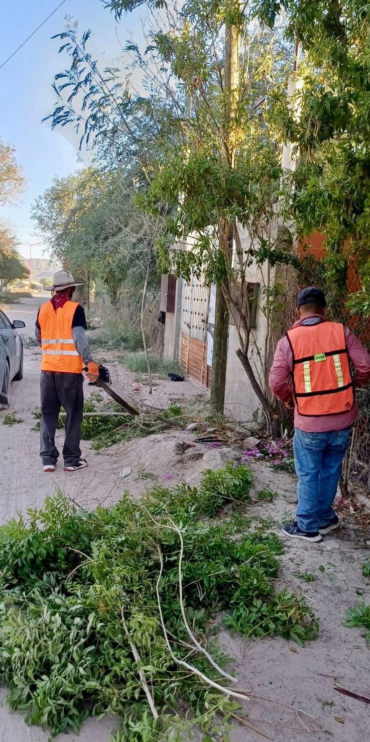 TRABAJOS DE LIMPIEZA Y DESPEJE EN EL CALLEJÓN CANANEA.
