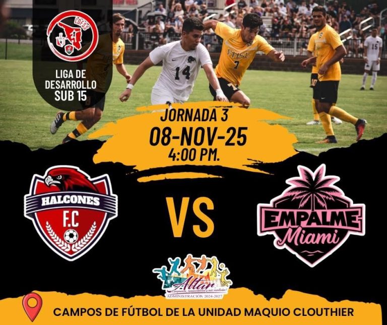 LIGA DE DESARROLLO SUB 15