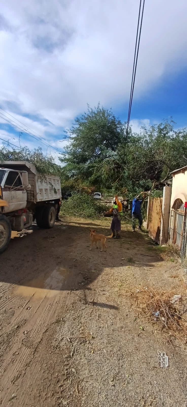 SERVICIOS PÚBLICOS APOYA