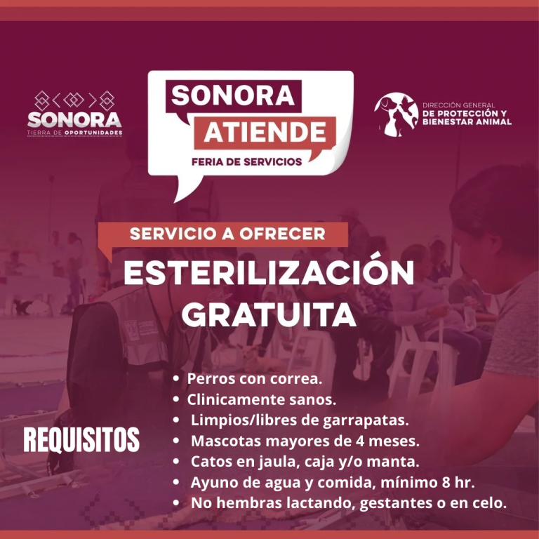 SONORA ATIENDE – ESTERILIZACIÓN PARA MASCOTAS