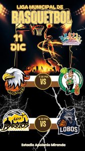 LIGA MUNICIPAL DE BÁSQUETBOL