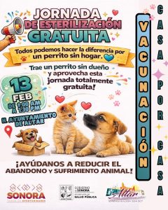 🐾 JORNADA GRATUITA DE ESTERILIZACIÓN Y VACUNACIÓN 🐾