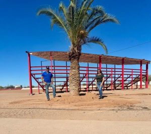 🌿 COORDINACIÓN DE ECOLOGÍA AGRADECE DONACIÓN DE ESPECIES NATIVAS 🌿